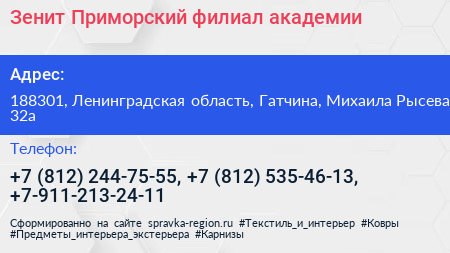 Зенит Приморский филиал академии - визитка