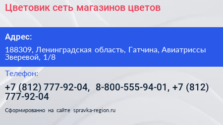 Цветовик сеть магазинов цветов - визитка