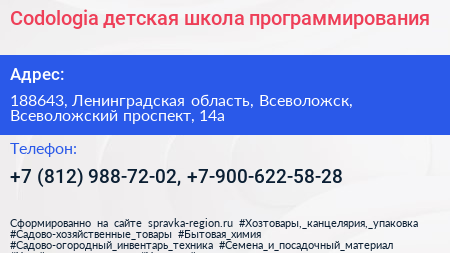 Codologia детская школа программирования - визитка