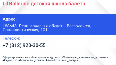 Lil Ballerine детская школа балета - визитка