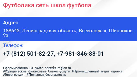 Футболика сеть школ футбола - визитка