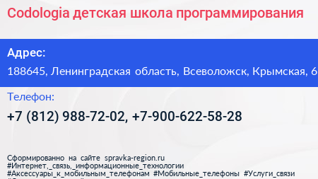 Codologia детская школа программирования - визитка