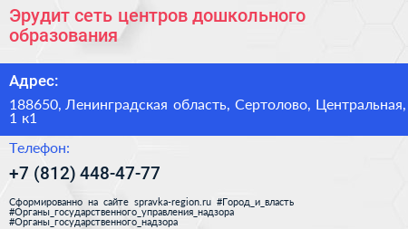Эрудит сеть центров дошкольного образования - визитка