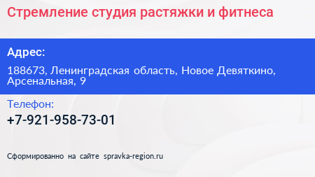 Стремление студия растяжки и фитнеса - визитка