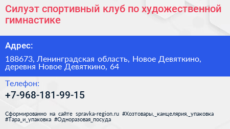 Силуэт спортивный клуб по художественной гимнастике - визитка