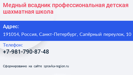 Медный всадник профессиональная детская шахматная школа - визитка