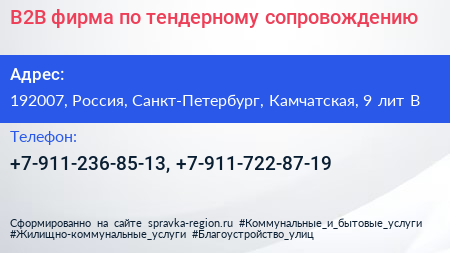 В2В фирма по тендерному сопровождению - визитка