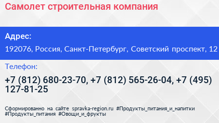 Самолет строительная компания - визитка