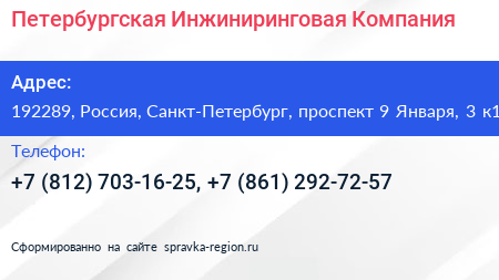 Петербургская Инжиниринговая Компания - визитка
