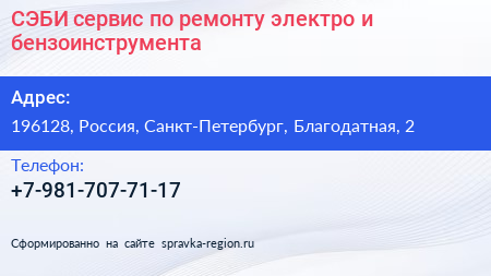 СЭБИ сервис по ремонту электро и бензоинструмента - визитка