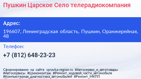 Пушкин Царское Село телерадиокомпания - визитка