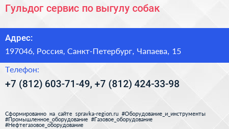 Гульдог сервис по выгулу собак - визитка