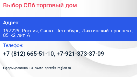 Выбор СПб торговый дом - визитка