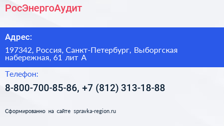 РосЭнергоАудит - визитка