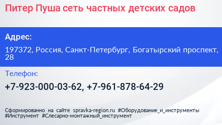 Питер Пуша сеть частных детских садов - визитка