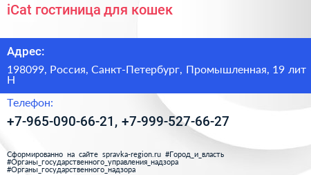 iCat гостиница для кошек - визитка