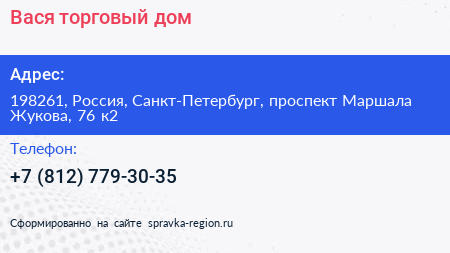 Вася торговый дом - визитка