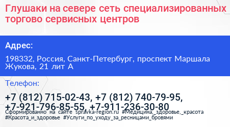 Глушаки на севере сеть специализированных торгово сервисных центров - визитка