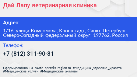 Дай Лапу ветеринарная клиника - визитка