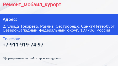 Ремонт_мобаил_курорт - визитка