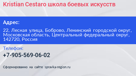 Kristian Cestaro школа боевых искусств - визитка
