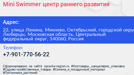 Mini Swimmer центр раннего развития - визитка