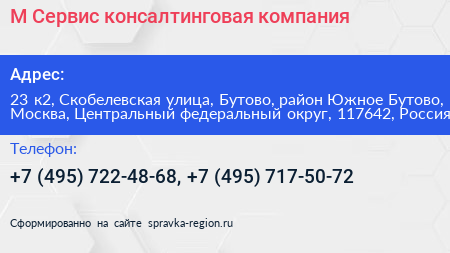 М Сервис консалтинговая компания - визитка