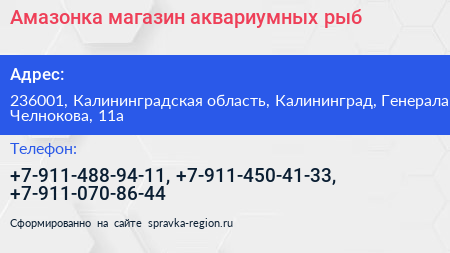 Амазонка магазин аквариумных рыб - визитка