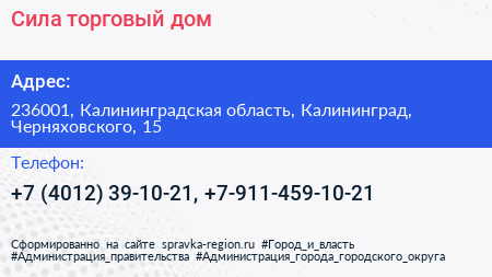 Сила торговый дом - визитка