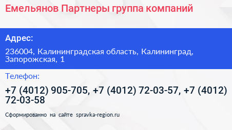 Емельянов Партнеры группа компаний - визитка