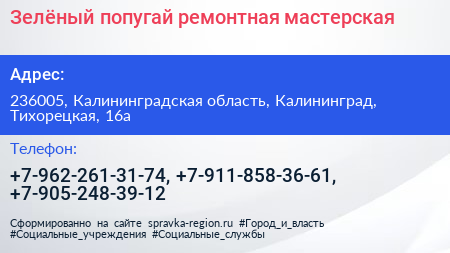 Зелёный попугай ремонтная мастерская - визитка