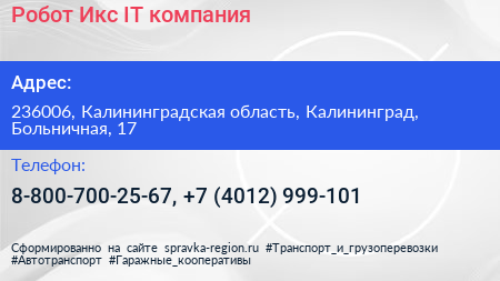 Робот Икс IT компания - визитка