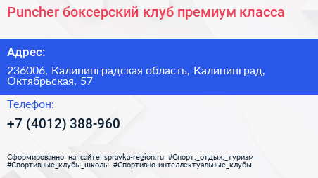 Puncher боксерский клуб премиум класса - визитка