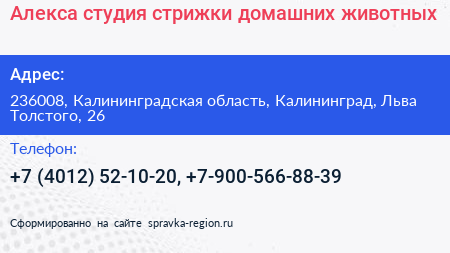 Алекса студия стрижки домашних животных - визитка