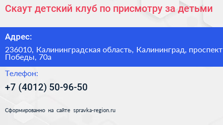 Скаут детский клуб по присмотру за детьми - визитка