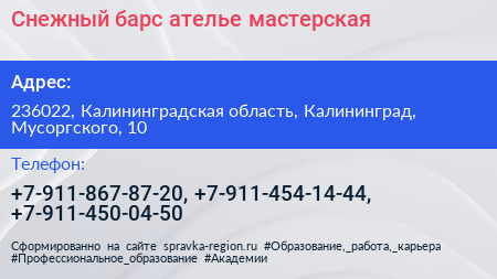 Снежный барс ателье мастерская - визитка