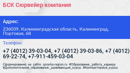 БСК Сюрвейер компания - визитка