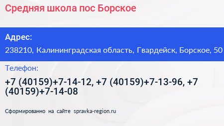 Средняя школа пос Борское - визитка