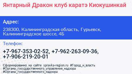 Янтарный Дракон клуб каратэ Киокушинкай - визитка