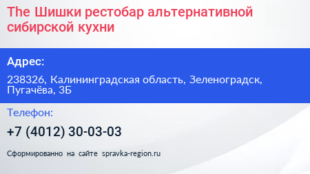 The Шишки рестобар альтернативной сибирской кухни - визитка