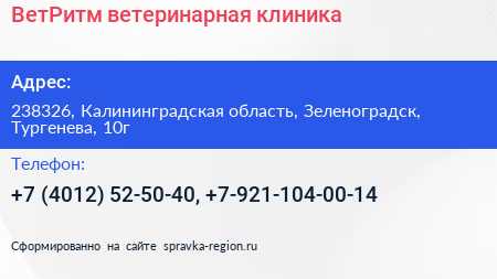 ВетРитм ветеринарная клиника - визитка