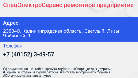 СпецЭлектроСервис ремонтное предприятие - визитка