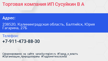 Торговая компания ИП Сусуйкин В А  - визитка