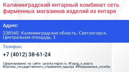 Калининградский янтарный комбинат сеть фирменных магазинов изделий из янтаря - визитка