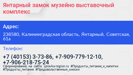 Янтарный замок музейно выставочный комплекс - визитка