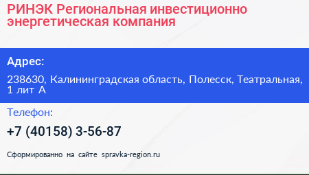 РИНЭК Региональная инвестиционно энергетическая компания - визитка