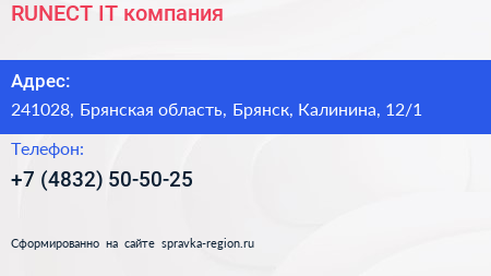 RUNECT IT компания - визитка