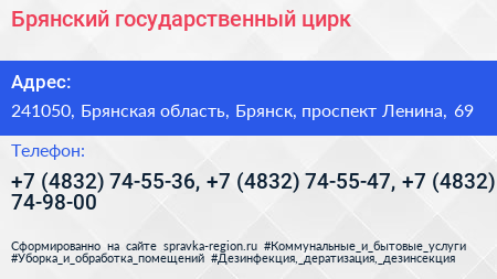 Брянский государственный цирк - визитка