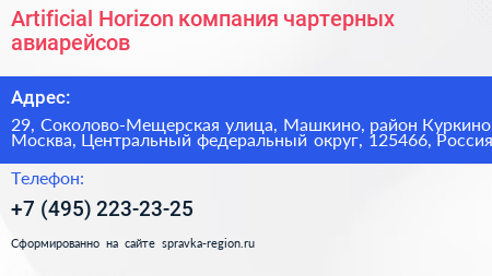 Artificial Horizon компания чартерных авиарейсов - визитка