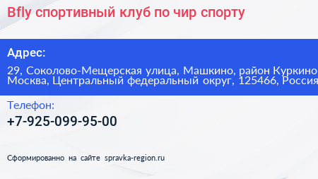 Bfly спортивный клуб по чир спорту - визитка